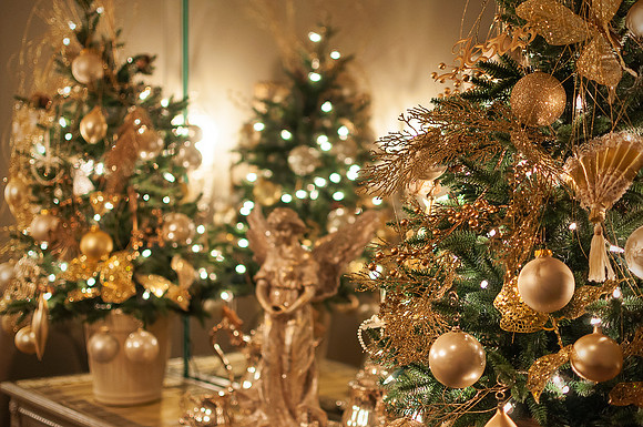 DSC_7640